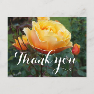 Carte postale Merci About Face Rose #2