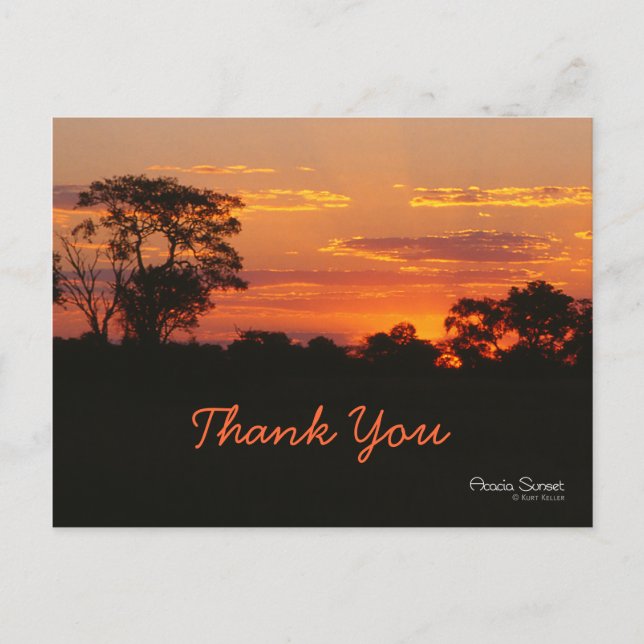 Carte postale Merci Acacia Sunset (Devant)