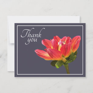 Carte Postale Merci Arrière - plan gris Dahlia rouge