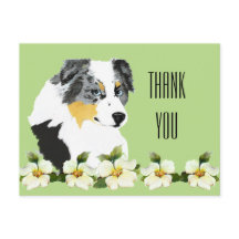 Carte postale Merci Aussie Blue Merle Dog