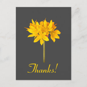 Carte Postale Merci aux fleurs jaunes