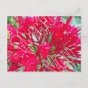 Carte Postale Merci Belles Fleurs rouges superbes