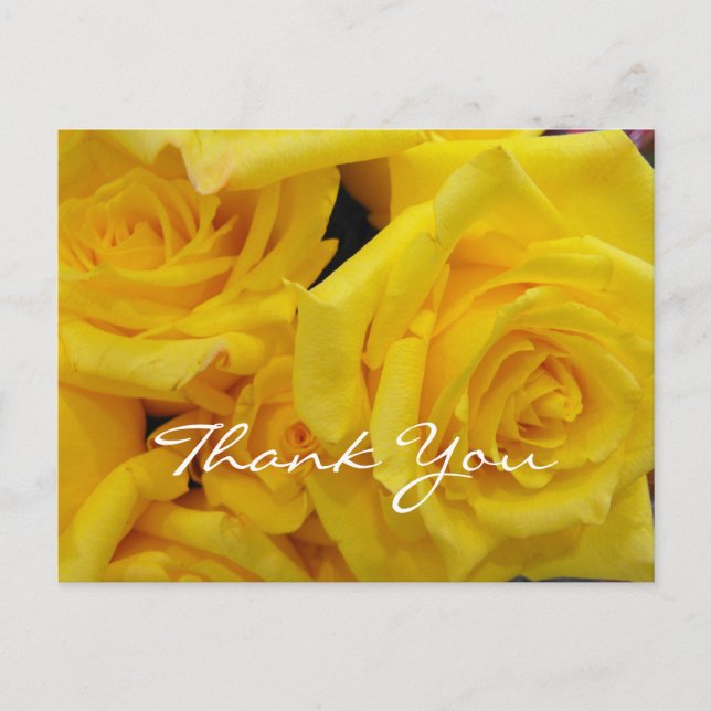 Carte Postale merci bénévolement fleurs de rose jaune (Devant)