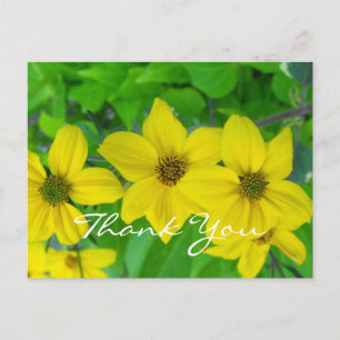 Carte Postale merci bénévolement jolies fleurs jaunes