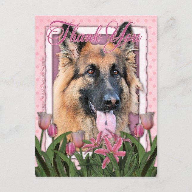 Carte Postale Merci - Berger allemand - Chance (Devant)