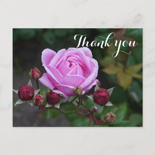 Carte postale Merci Bishop's Castle Rose #1 (Devant)