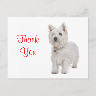 Carte Postale Merci blanc Westie Chien Chien Chien Salutation Ca