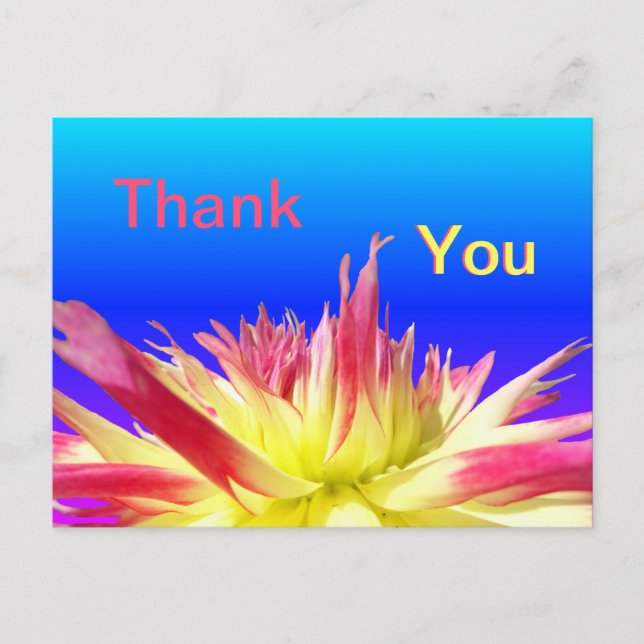 Carte postale MERCI bleu Dahlia rose jaune (Devant)