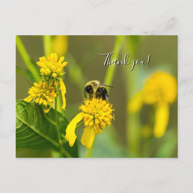 Carte postale Merci Bumblebee (Devant)