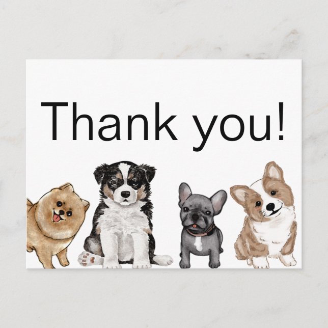 Carte Postale Merci chiot, Corgi, Bouledogue français, Pomerania (Devant)
