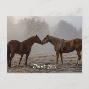 Carte Postale Merci d'amour du cheval