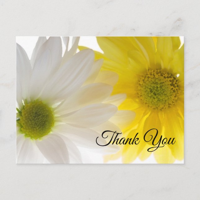 Carte Postale Merci de marguerites jaunes et blanches (Devant)