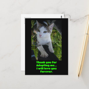 Carte Postale Merci de m'avoir adopté..je t'aimerai pour toujour