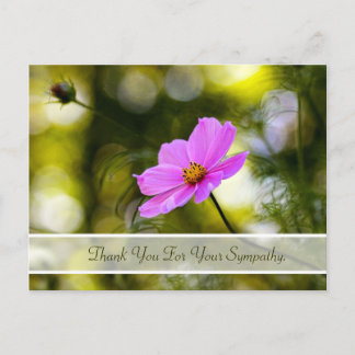 Carte Postale Merci de sympathie Soirée Cosmos rose Fleur sauvag