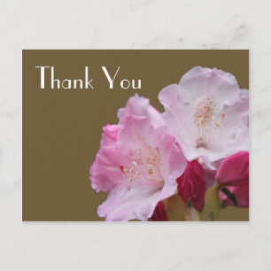 Carte Postale Merci, fleurs d'azalée rose, 杜 鹃 花
