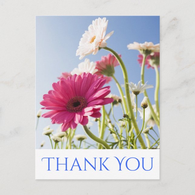 Carte Postale Merci floral rose et blanc Gerbera Fleur marguerit (Devant)