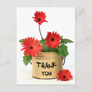 Carte Postale Merci floral Rouge Gerbera Fleurs marguerites