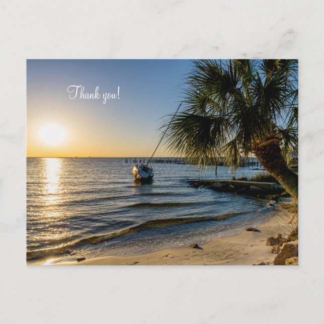 Carte postale Merci Florida Palmier penché Coucher (Devant)