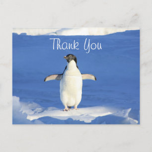 Carte Postale Merci Funny Penguin