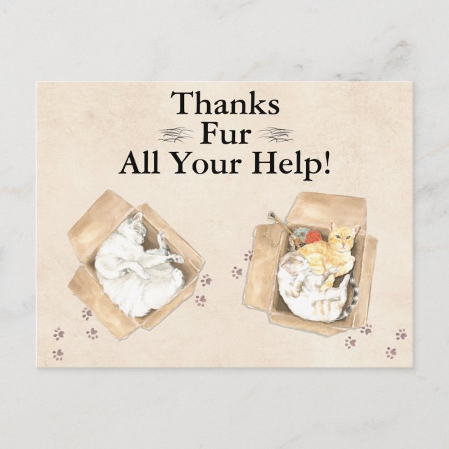 Carte Postale Merci Fur Toute Votre Aide ! Chats en boîtes, Merc (Devant)