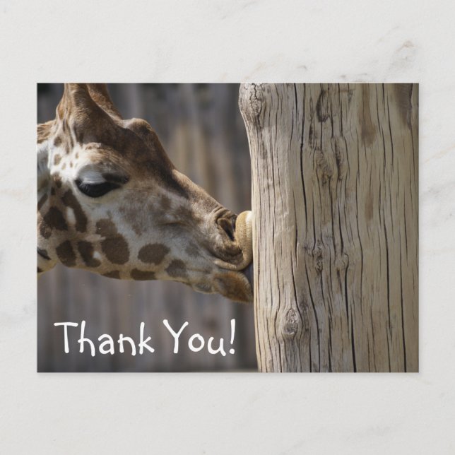 Carte Postale Merci Giraffe Kisses (Devant)