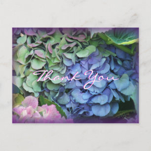 Carte Postale Merci Hydrangea 4577- personnaliser à toute occasi