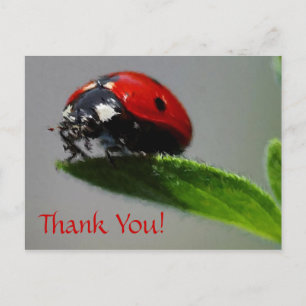 Carte Postale Merci LadyBug !