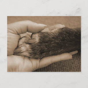 Carte Postale Merci, mon ami.