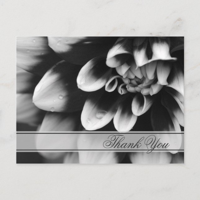 Carte Postale Merci noir et blanc Dahlia (Devant)