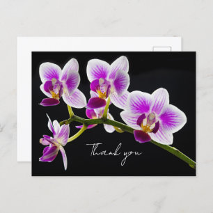 Carte postale Merci orchidée blanche et violette