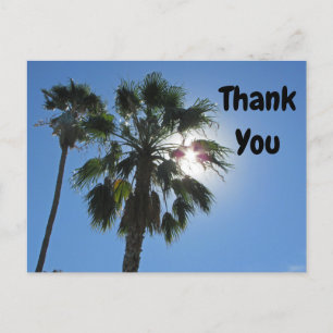 Carte Postale Merci Palm Tree Tropical Sunburst Appréciation