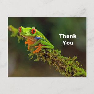Carte Postale Merci photo de grenouille à arbre rouge