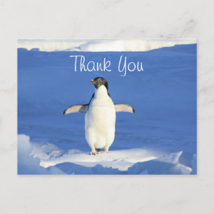 Carte Postale Merci Pingouin Drôle