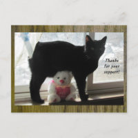 Merci pour votre soutien chat noir et ours en pelu