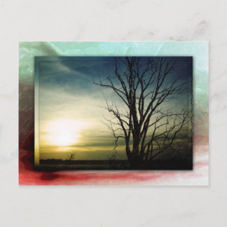 Carte Postale Merci pour vous !