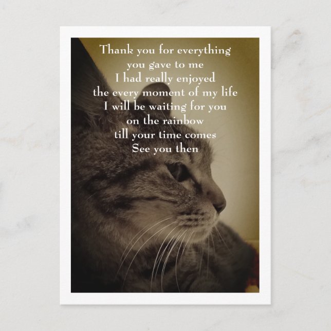 Carte Postale Merci & RIP (Devant)