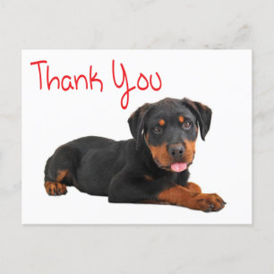 Carte Postale Merci Rottweiler Chien Chien Chien Chien Salutatio
