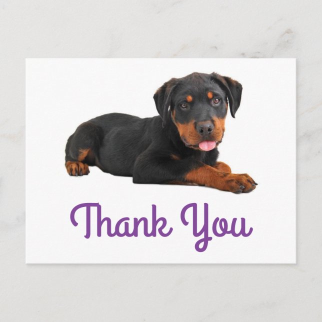 Carte Postale Merci Rottweiler Chien Chien Chien Chien Salutatio (Devant)