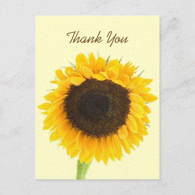 Carte postale Merci tournesol (Devant)