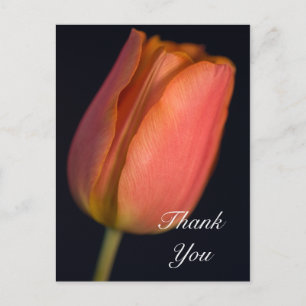 Carte postale Merci Tulip de printemps rouge