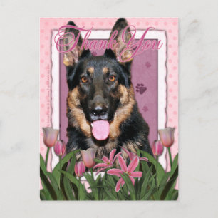 Carte Postale Merci - Tulipes roses - Berger allemand - Kuno