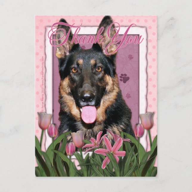 Carte Postale Merci - Tulipes roses - Berger allemand - Kuno (Devant)
