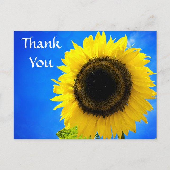 Carte postale Merci Yellow Sunflower Salutation (Devant)