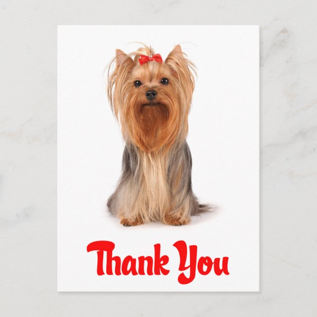Carte postale Merci Yorkshire Terrier Chien Chien  (Devant)