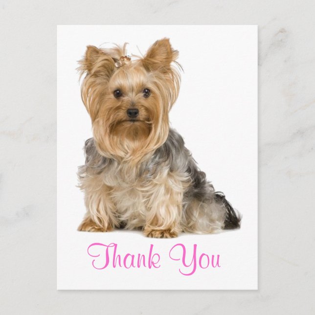 Carte postale Merci Yorkshire Terrier Chien Chien  (Devant)
