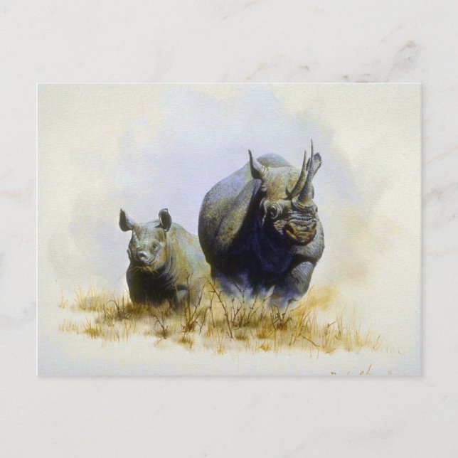 Carte Postale Mère et fils, Rhinoceros (Devant)