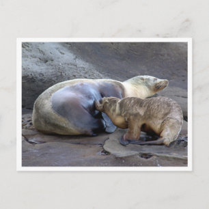 Carte postale Mère et Pup de soins infirmiers