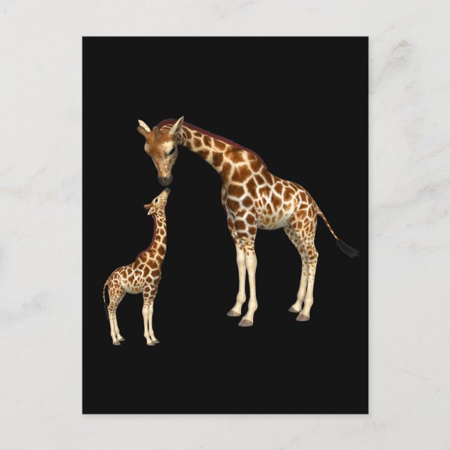 Carte Postale Mère Giraffe et bébé Giraffe (Devant)