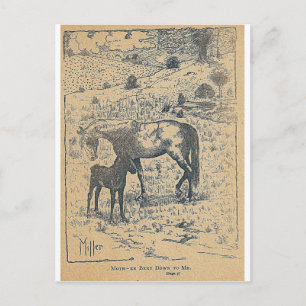 Carte Postale Mère penchée vers moi Black Beauty
