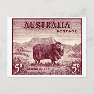 Carte Postale Merino Sheep australien 1934